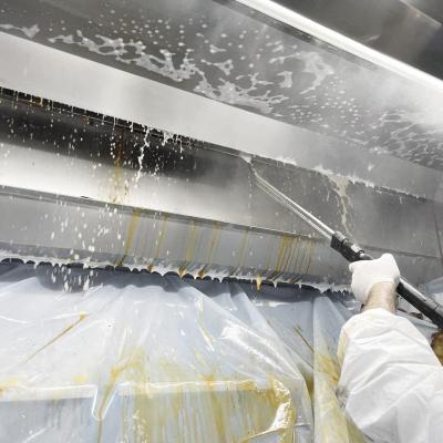 Kate Servizi Pulizia Cappa